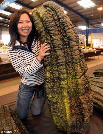 全球吓死人的巨型植物(组图)