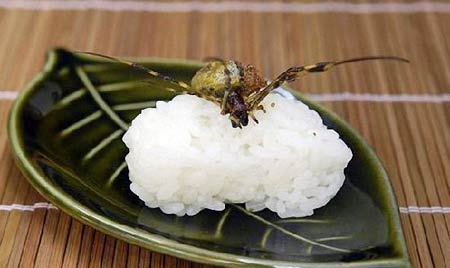 日本让人毛骨悚然的昆虫料理(组图)