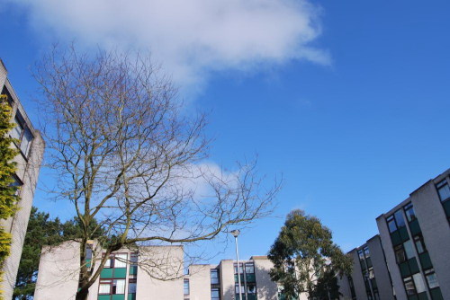 大学宿舍楼 大学宿舍楼