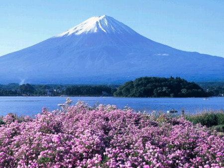 日本 日本