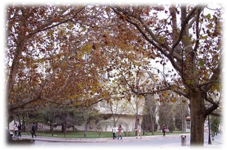 对外经济贸易大学 对外经济贸易大学