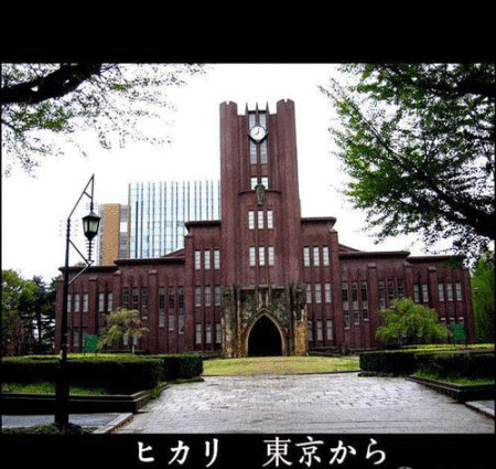 东京大学 东京大学