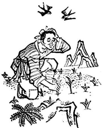 “中庸”,这样一种 “执其两端,用其中于民”的思想 “中庸”,这样一种 “执其两端,用其中于民”的思想