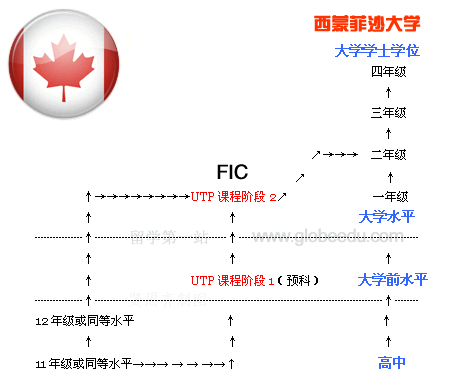 澳际出国留学_贤思齐_制图