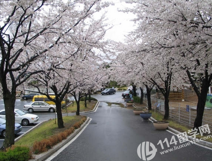 北京理工大学韩国留学1年制名校招生要求