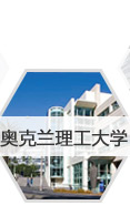 奥克兰理工大学