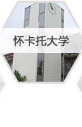 怀卡托大学